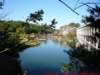 p1010463_small.jpg