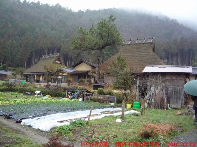 p1020129.jpg