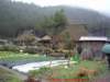 p1020129_small.jpg