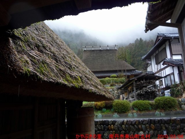 p1020135.jpg