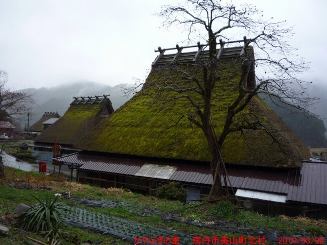 p1020136.jpg