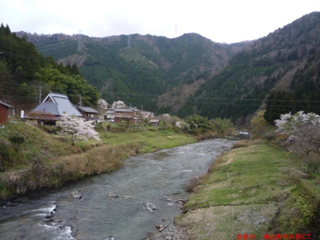 p1060631.jpg