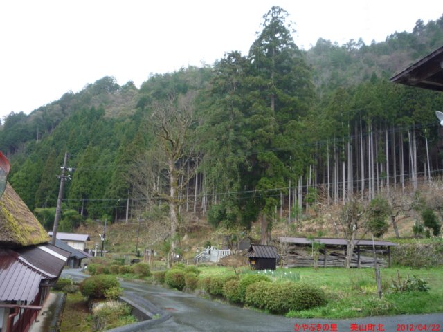 p1060663.jpg