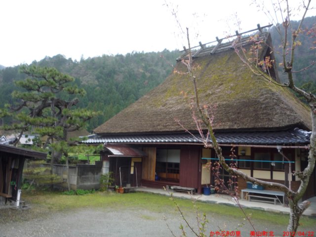 p1060685.jpg