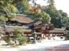 dscf0007_small.jpg