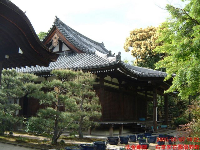 dscf00092.jpg