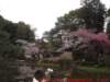 dscf00232_small.jpg