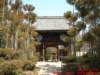 dscf00253_small.jpg