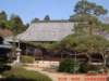 dscf00262_small.jpg