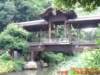 dscf0026_small.jpg