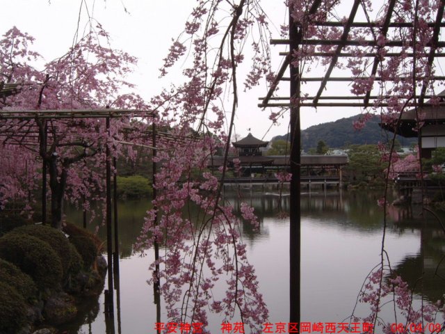 dscf0027.jpg