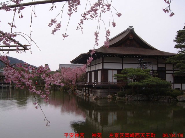 dscf00283.jpg