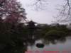 dscf00312_small.jpg