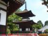 dscf00333_small.jpg