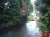 dscf0033_small.jpg