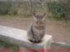 dscf00462_small.jpg