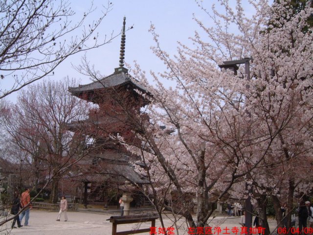 dscf00523.jpg