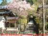 dscf00525_small.jpg