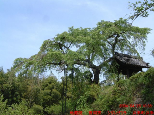 dscf0053.jpg