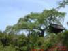 dscf0053_small.jpg