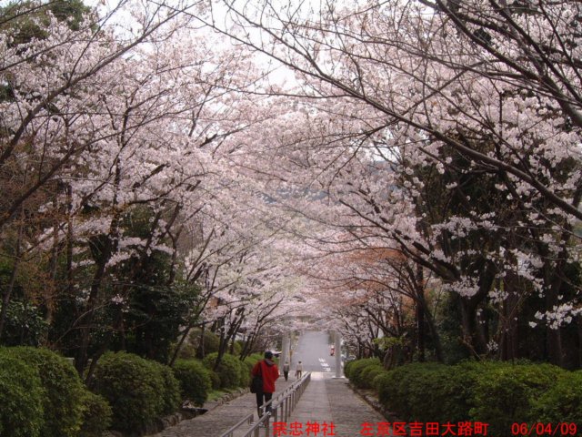 dscf00614.jpg