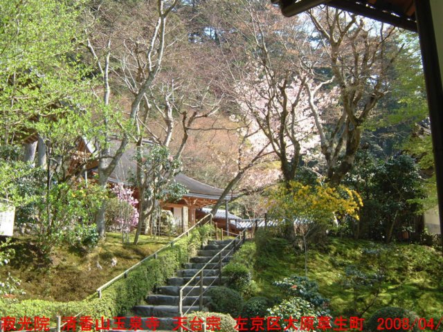 dscf00665.jpg
