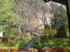 dscf00665_small.jpg