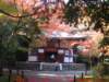 dscf00685_small.jpg