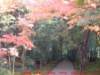 dscf0069_small.jpg