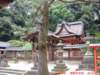 dscf00713_small.jpg