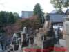 dscf0071_small.jpg
