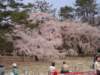 dscf0076_small.jpg