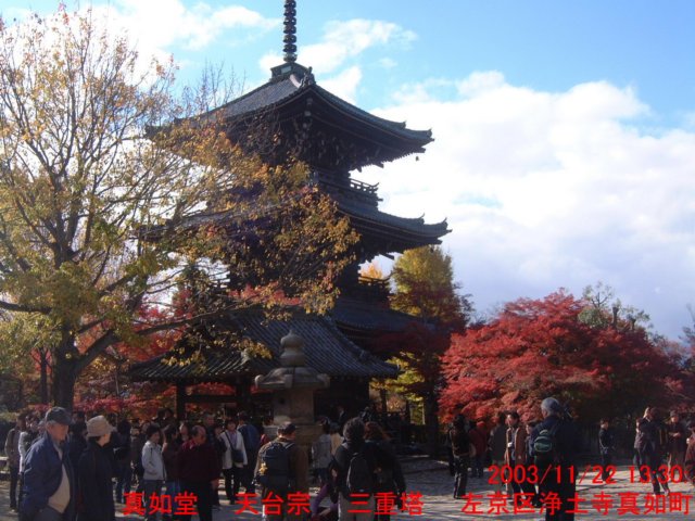 dscf00802.jpg