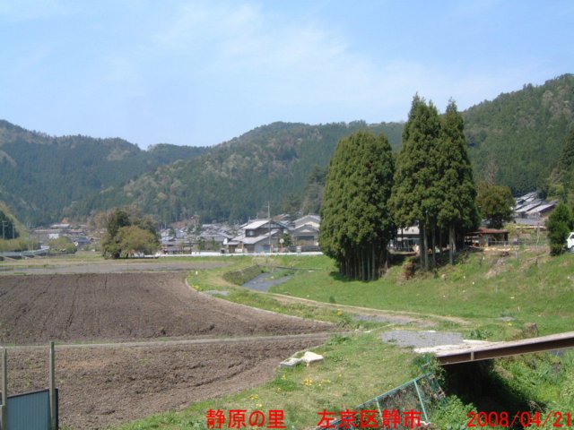 dscf00834.jpg