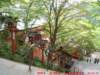 dscf01283_small.jpg