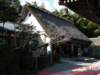 dscf0131_small.jpg