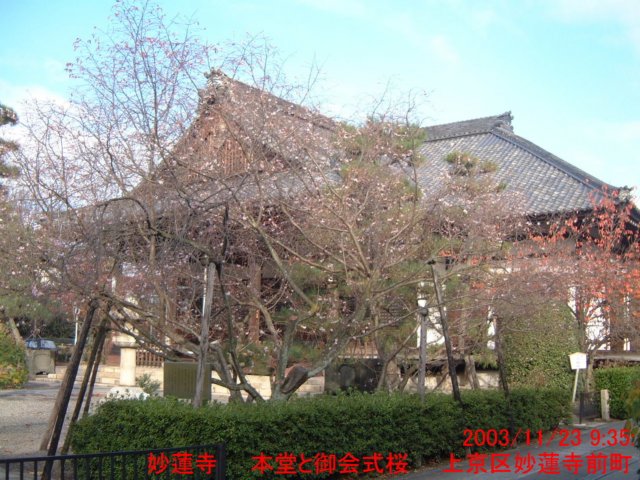dscf0133.jpg