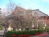 dscf0133_small.jpg