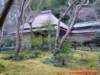 dscf0138_small.jpg