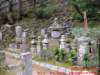 dscf01392_small.jpg