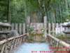 dscf0141_small.jpg