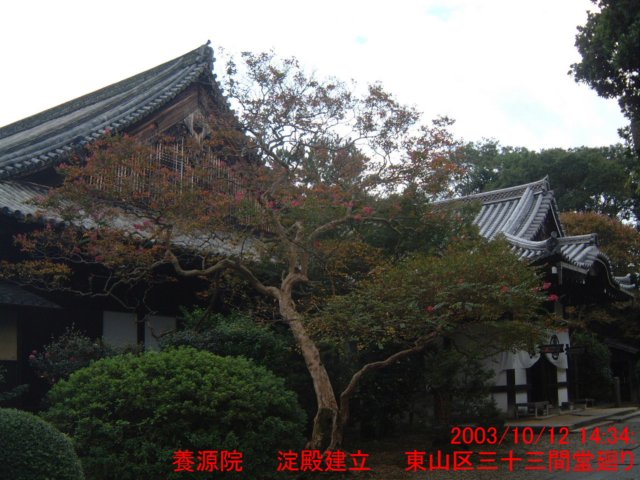 dscf0148.jpg