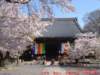 dscf01654_small.jpg