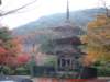 dscf01682_small.jpg