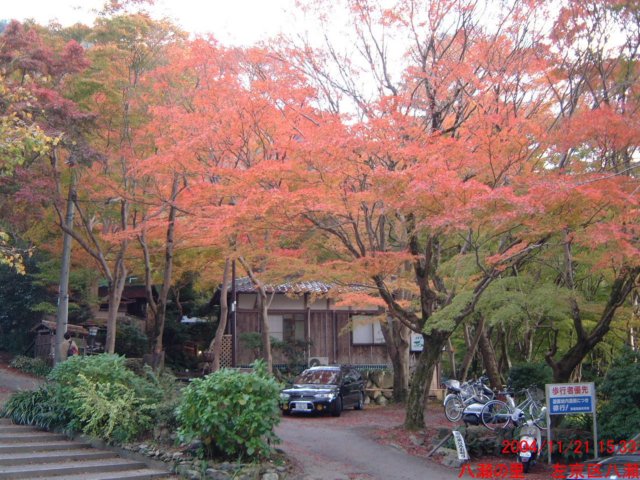dscf0176.jpg