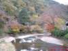 dscf0177_small.jpg