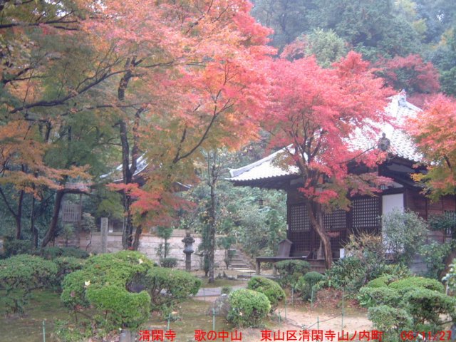 dscf0178.jpg