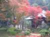 dscf0178_small.jpg