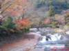 dscf0181_small.jpg