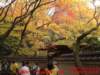 dscf0187_small.jpg